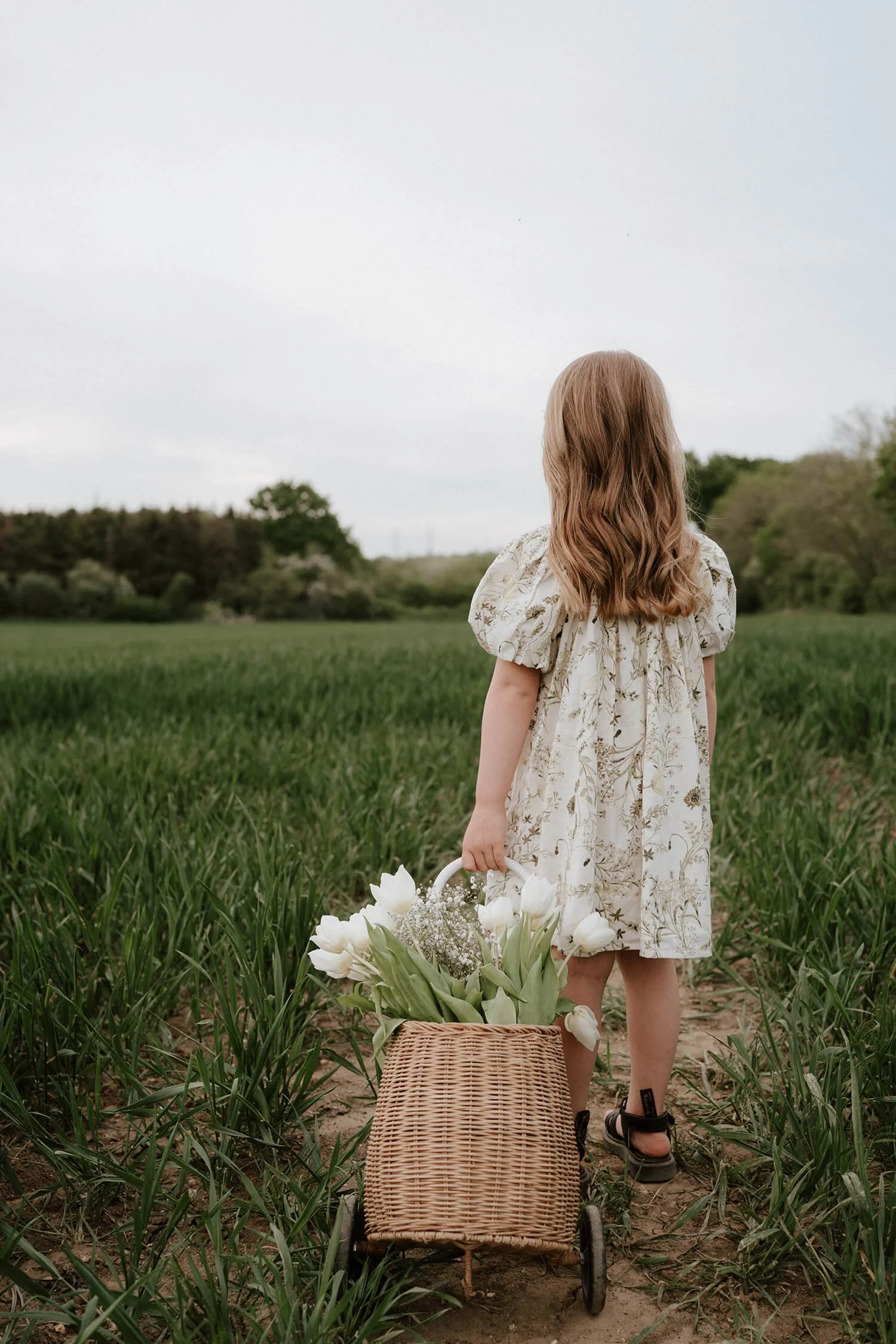 A young girl with long wavy hair, wearing a floral dress, walking through a lush green field on a cloudy day, pulling a wicker cart filled with white tulips and baby's breath flowers.