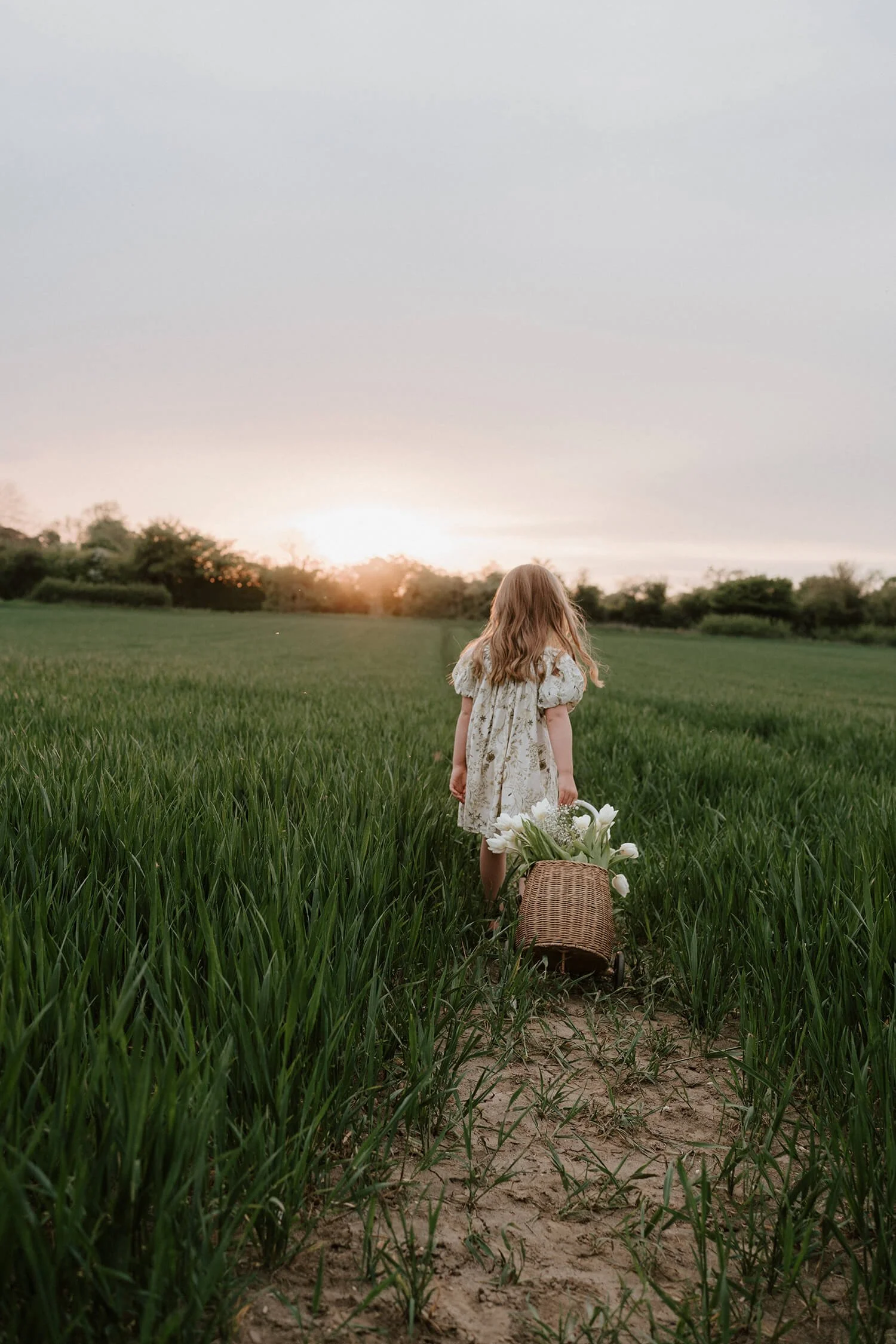 Young girl with long, wavy hair, wearing a light-colored dress with floral embroidery, walking through lush green grass at sunset, pulling a wicker basket filled with white flowers.