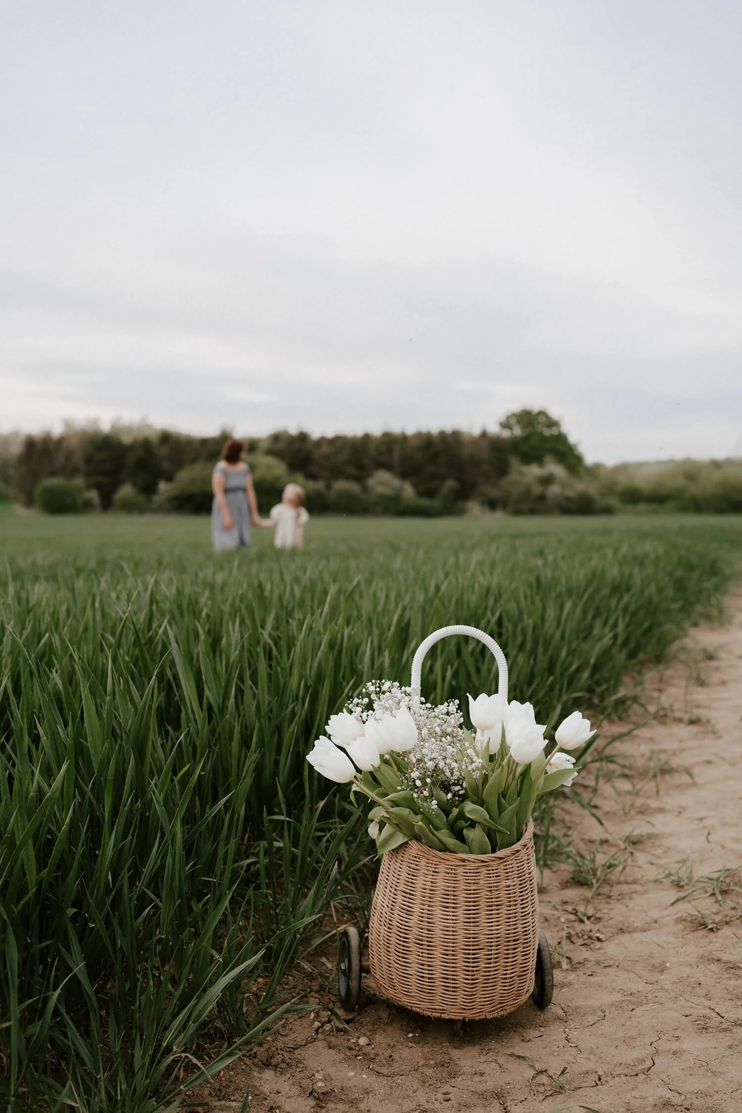 A wicker basket with white tulips and baby’s breath on a dirt path in a green field, with a woman and a young girl holding hands in the background under a cloudy sky.