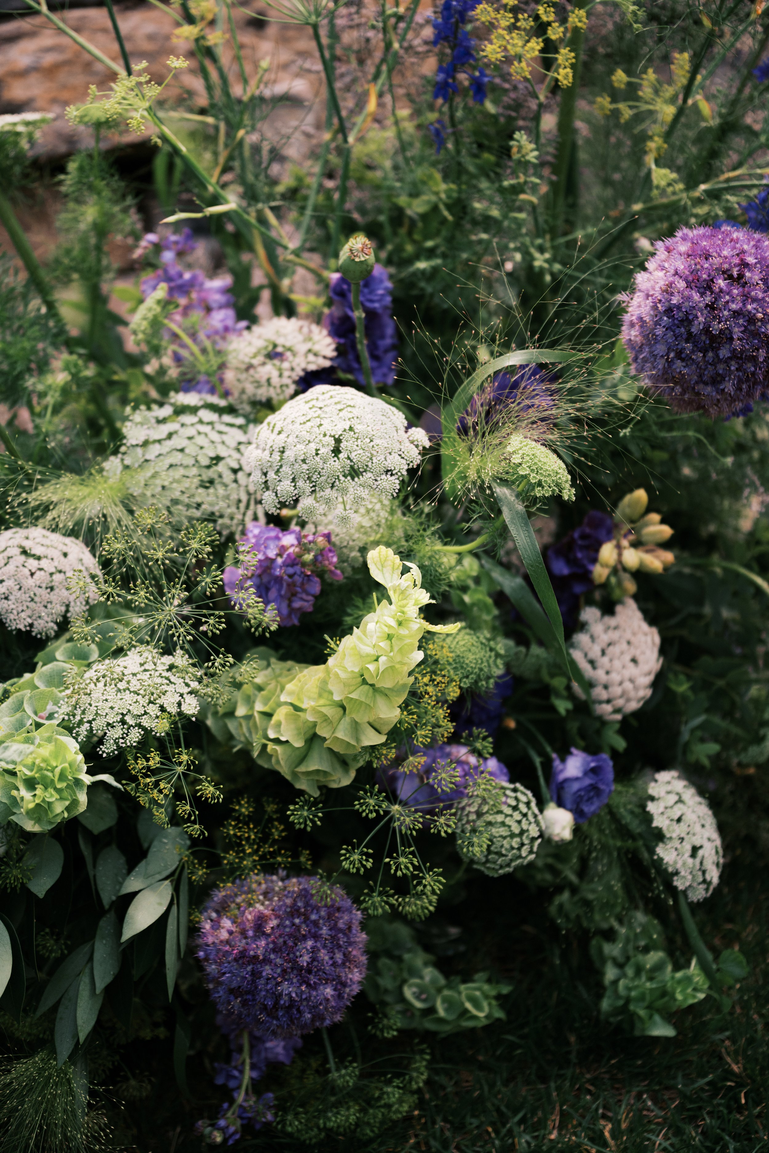 SarahJaneAustin_0020_AlyssaSorensonPhoto.jpg