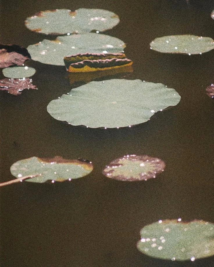 Emotional Healing Through the Body