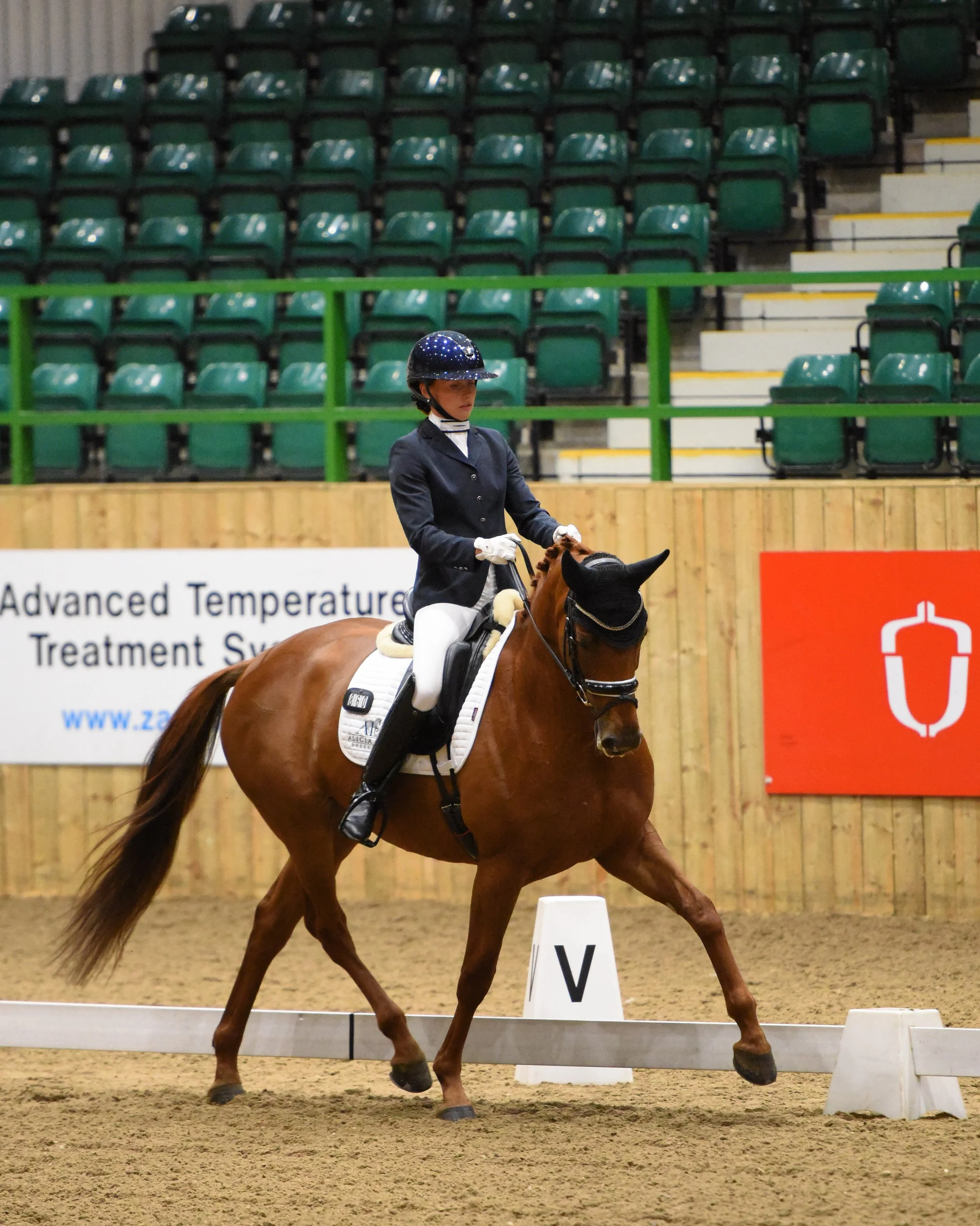 A woman riding a brown horse inside an indoor equestrian arena, wearing formal riding attire including a helmet, jacket, and white breeches, with green seating in the background.