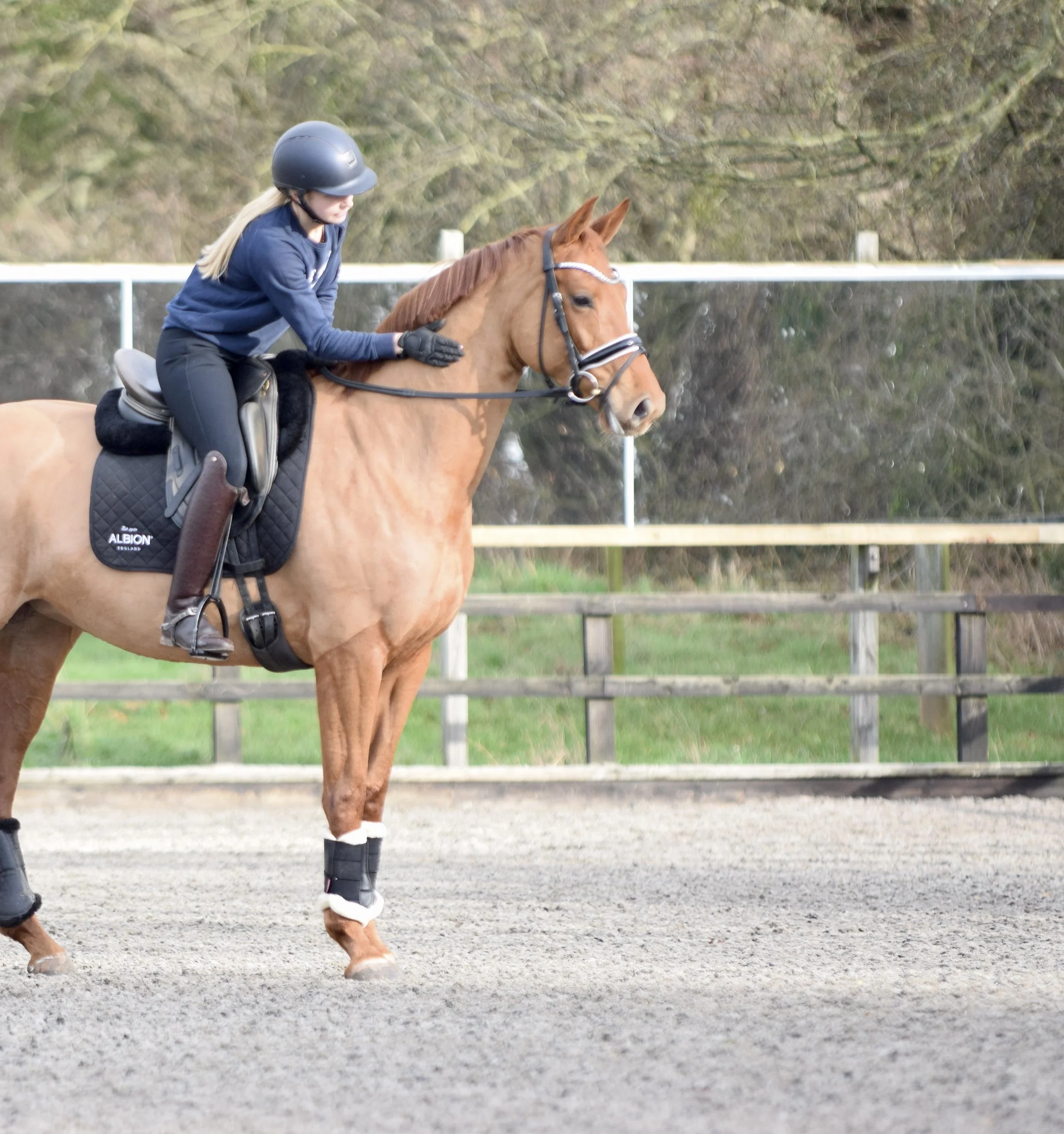 A woman riding a brown horse on a riding arena, wearing a helmet, gloves, and a navy blue jacket.