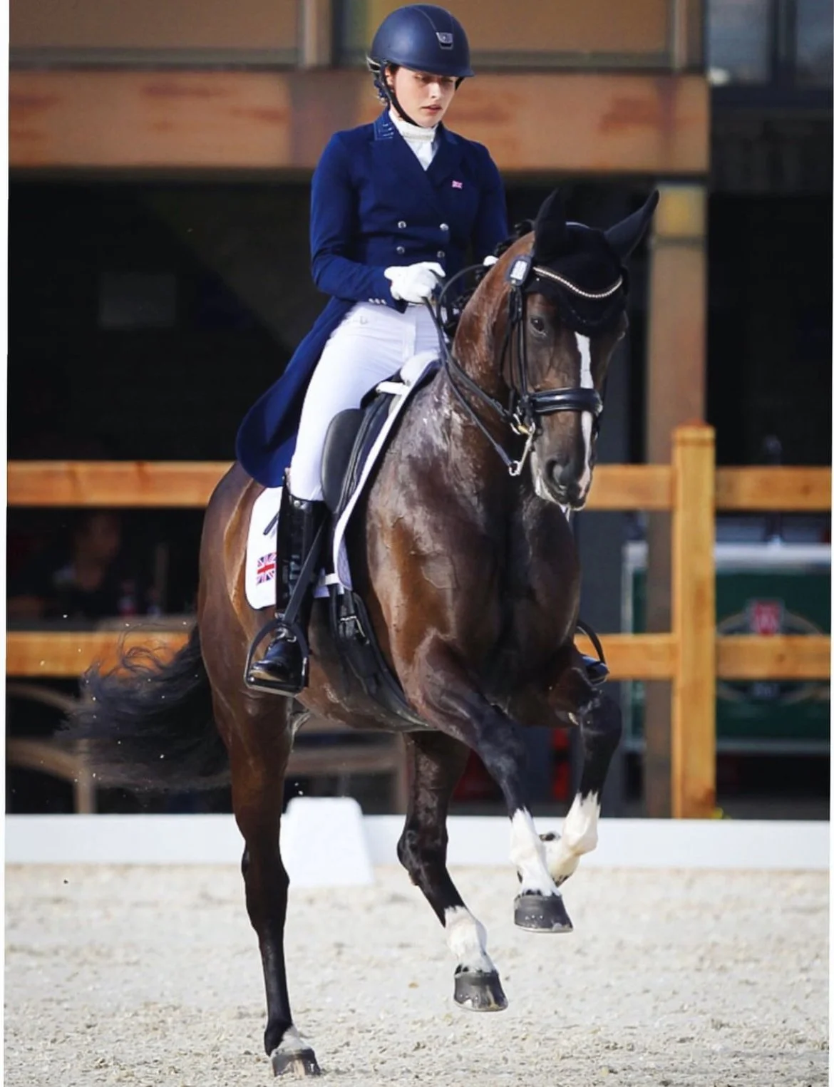 A female equestrian dressed in formal riding attire, including a navy blazer, white breeches, and a helmet, riding a brown horse with white markings on its legs. The horse is equipped with a riding saddle and bridle, and the background shows an indoo