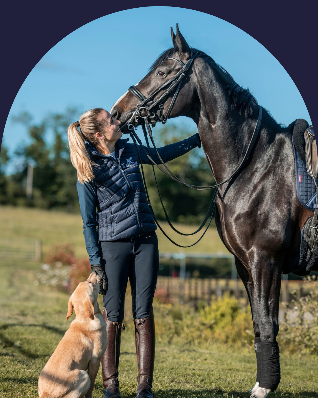 A woman in riding gear with a dog standing on grass, touching noses with a large, black horse in an outdoor setting.