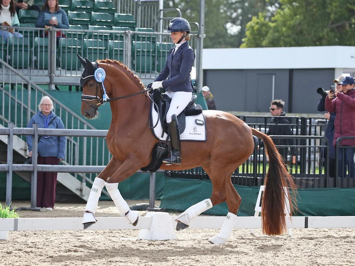 Female equestrian riding a brown horse during a dressage competition, with some spectators and photographers in the background.
