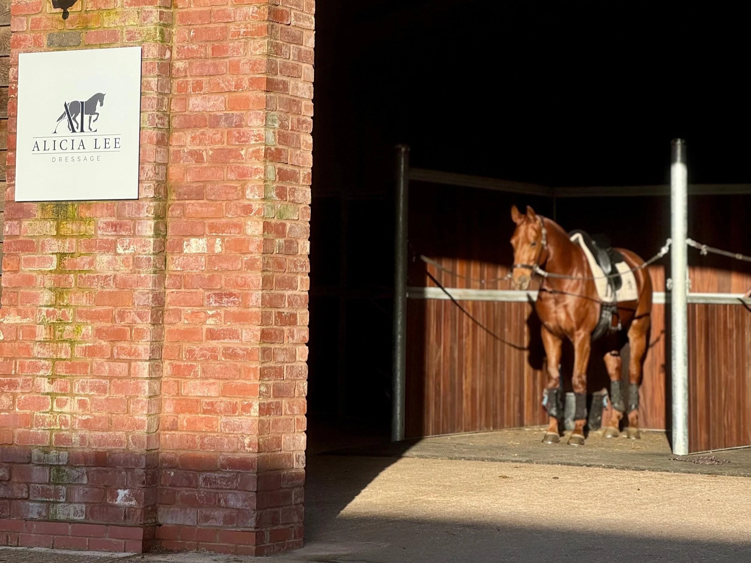 A brown horse with a saddle and leg wraps stands in a grooming area of a stable, partially shaded, with a brick wall and a sign reading 'Alicia Lee Dressage' on the left side.