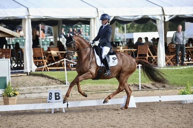 Equestrian rider wearing a helmet and formal riding attire on a brown horse performing a dressage move in an outdoor arena with spectators and a tent in the background.