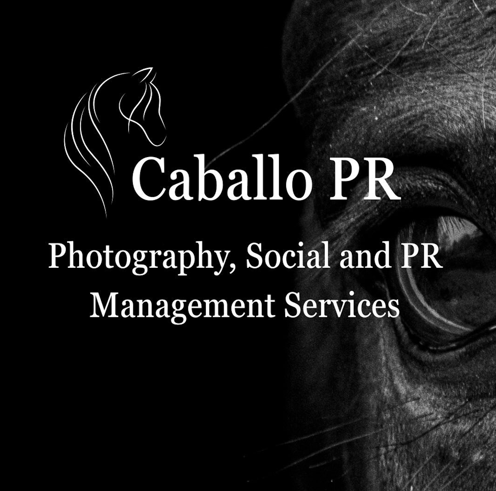 Black and white logo for Caballo PR, featuring a stylized horse head outline and a close-up of a horse's eye, with text indicating photography, social, and PR management services.