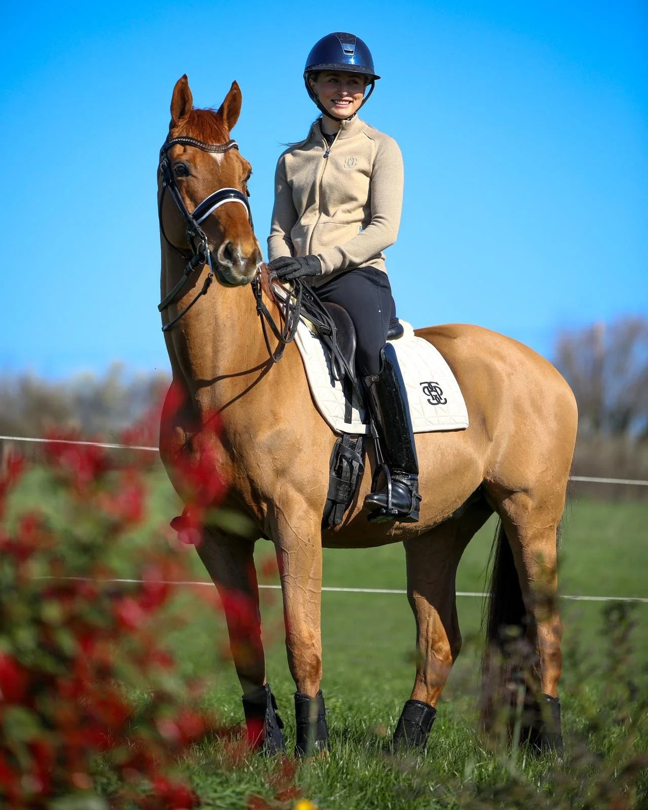 A woman in riding gear sitting on a chestnut horse with a blue sky and green field background.