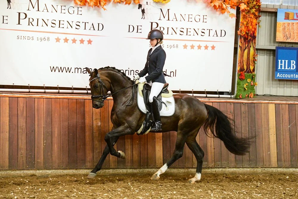 A rider in formal riding attire, including a helmet, jacket, and white breeches, riding a brown horse with a black mane and tail inside an indoor riding arena with a dirt floor and wooden wall. There is a large advertising banner in the background wi