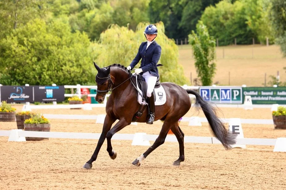 A female equestrian rider in formal riding attire riding a dark brown horse in a dressage arena with white fences and directional markers, surrounded by green trees.