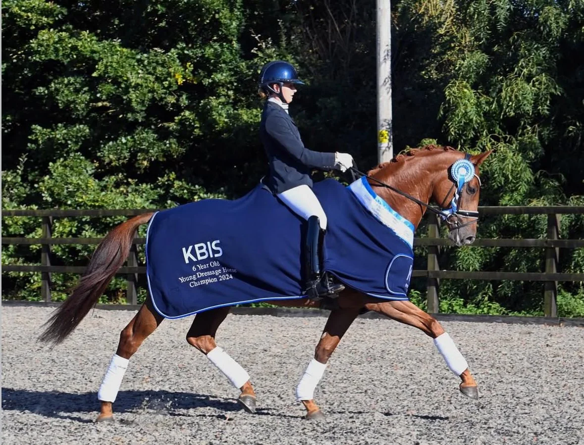 A young girl riding a horse during a dressage competition, wearing a helmet, jacket, and riding boots. The horse is wrapped with a dark blue blanket and has a ribbon on its bridle indicating she is a champion.