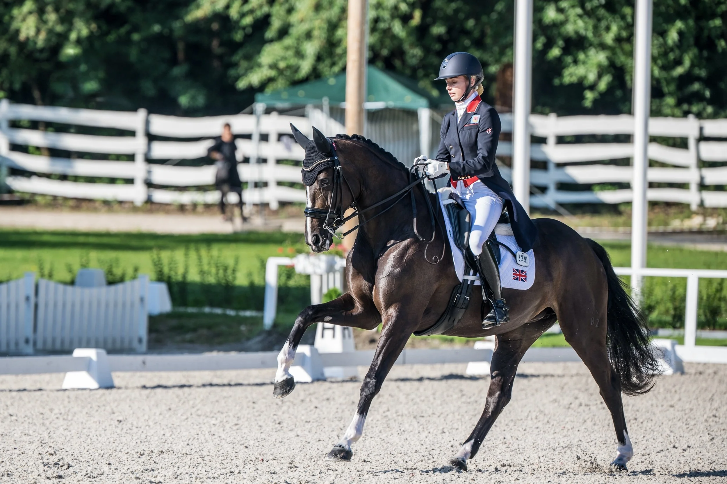 A female equestrian rider wearing a navy blazer, white breeches, black helmet, and gloves riding a dark bay horse with white markings during a dressage competition on a sunny day.