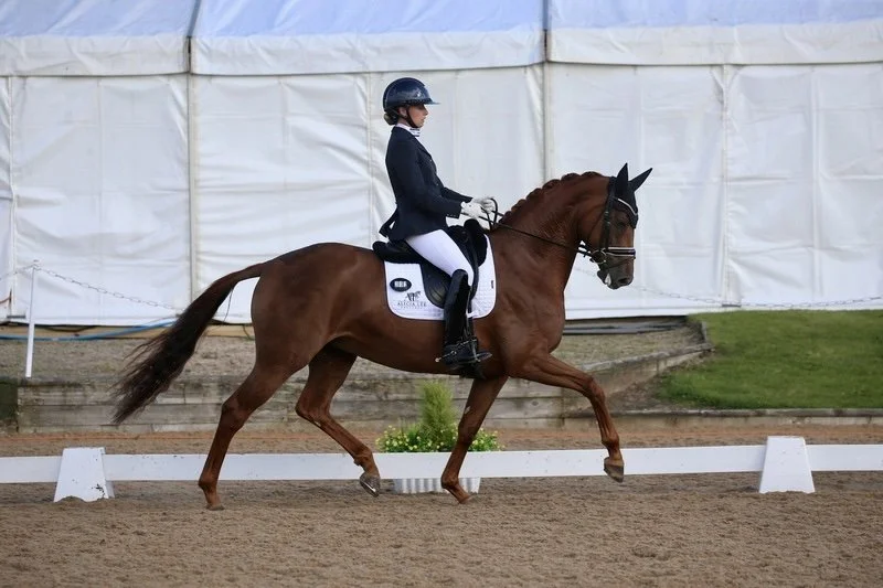 A female equestrian rider in formal riding attire, including a helmet, jacket, and white riding pants, riding a brown horse with a braided mane in a dressage arena with white barriers and a white tent backdrop.