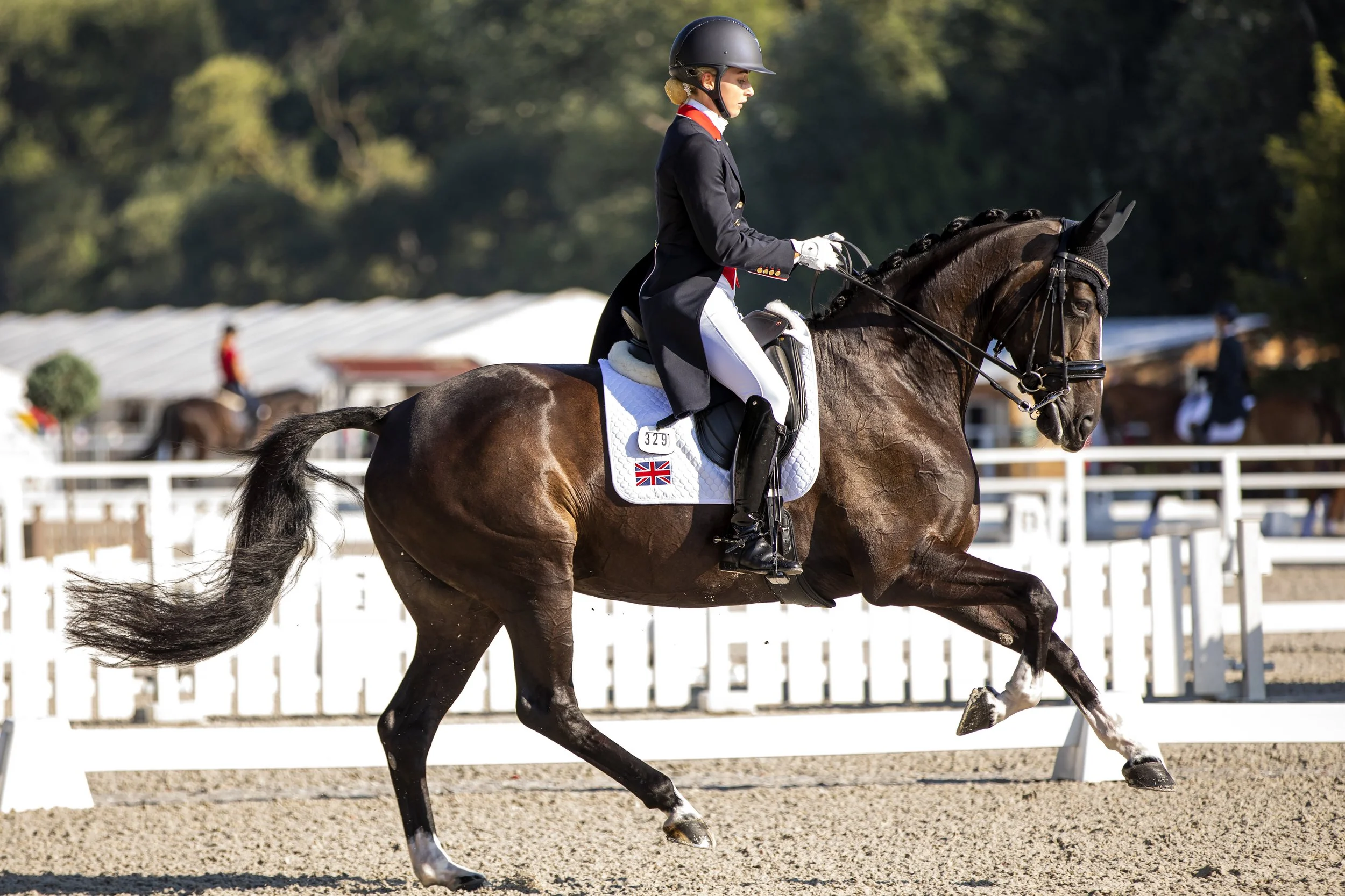 A female equestrian dressed in formal riding attire riding a brown horse during a competition. The horse and rider are outside, with a fenced riding arena and trees in the background.