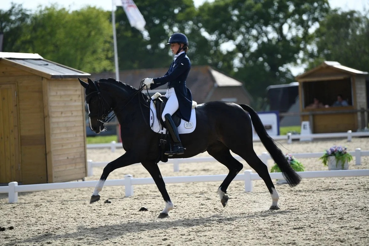 A female equestrian rider in formal riding attire, including a helmet, is riding a black horse in a sandy arena. The scene is set outdoors with some small structures, trees, and flower pots visible in the background.