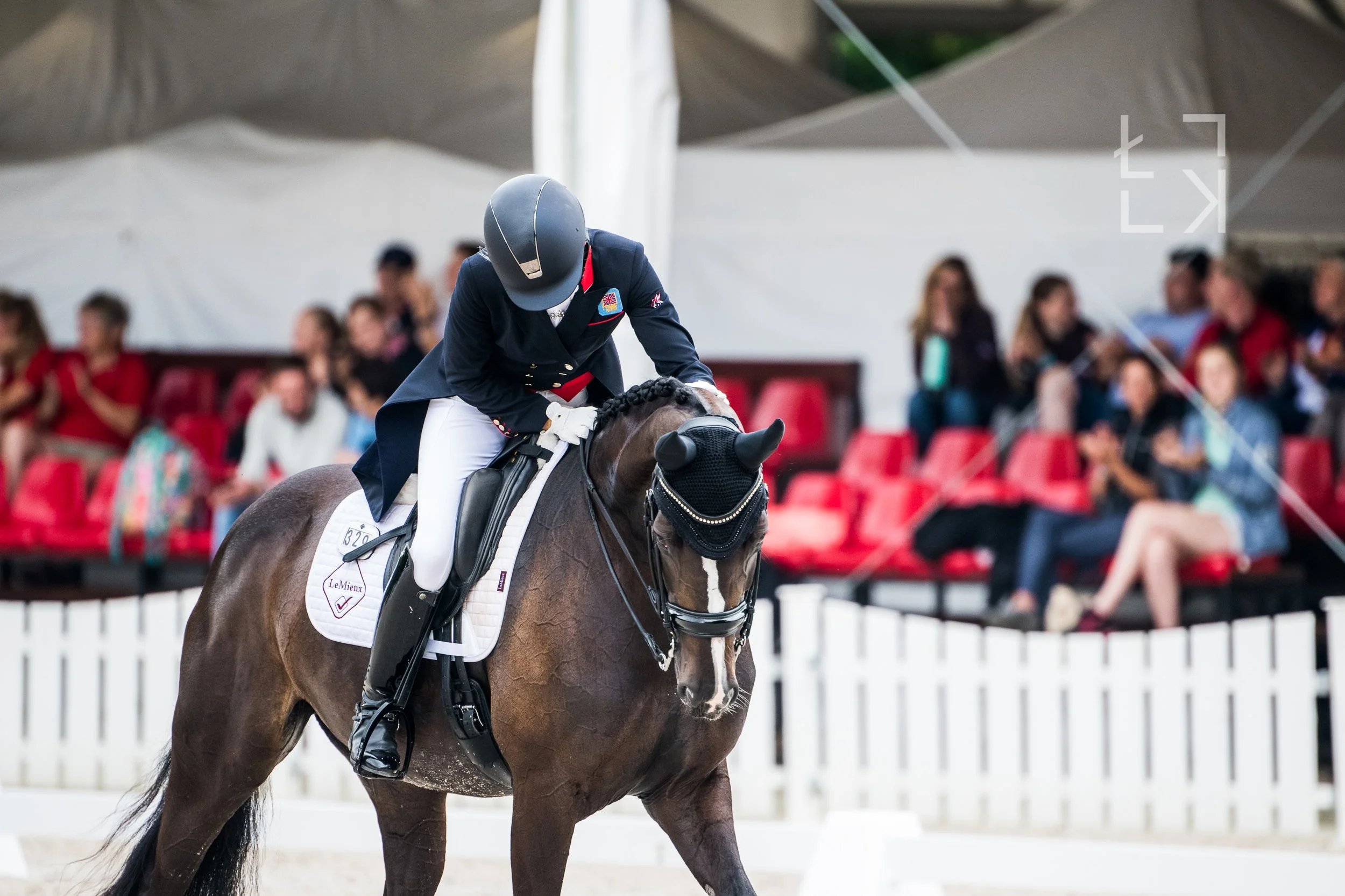 A person dressed in equestrian riding attire riding a horse during a horseback riding competition, with spectators seated in the background.