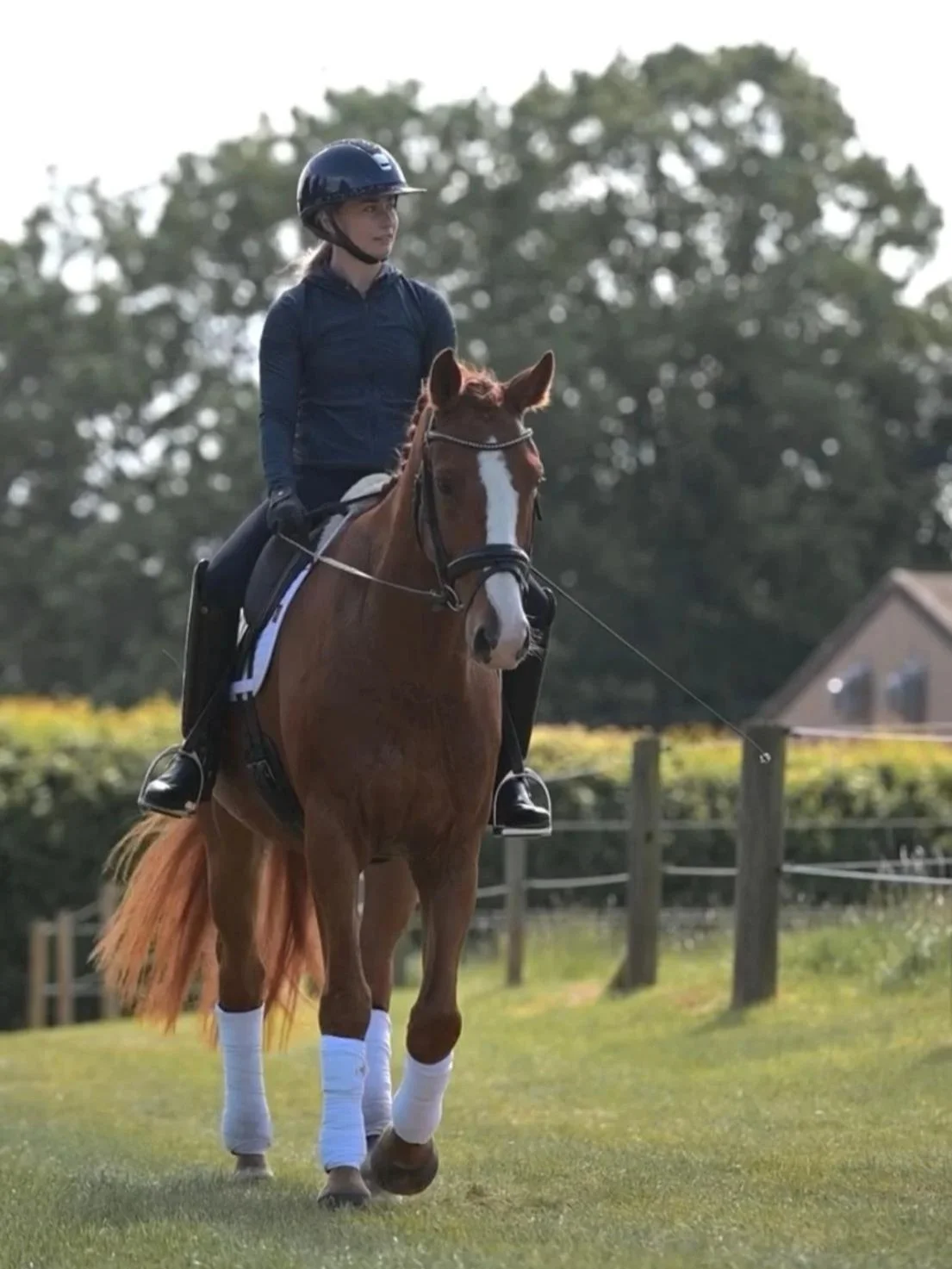 Young woman riding a horse outdoors on grass field, wearing a black helmet and navy riding jacket, with trees and a house in background.
