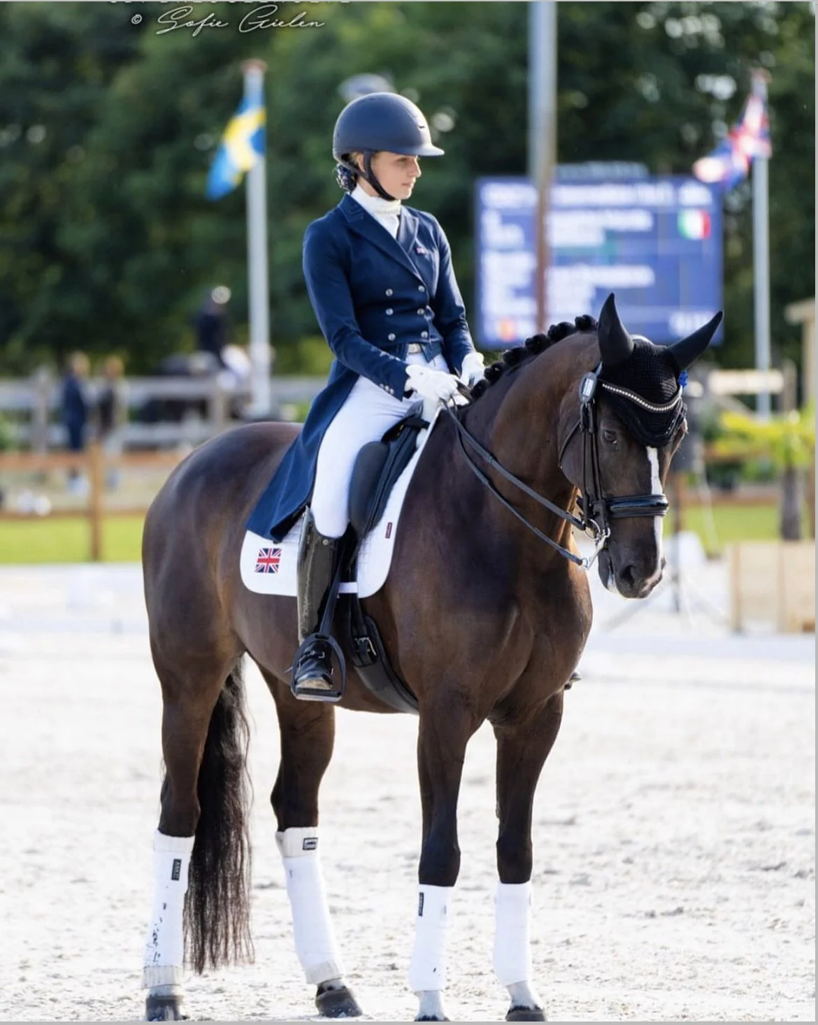 A female equestrian rider in formal riding attire, including a navy jacket, white breeches, and a black helmet, sitting on a brown horse with a black mane, in a riding arena. The horse is equipped with a white saddle pad with a Union Jack flag, and w