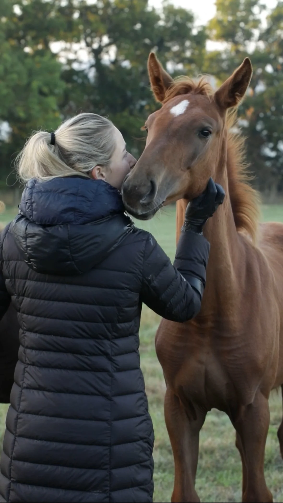 A woman in a black puffer jacket gently kisses a chestnut-colored horse on the nose in a grassy field with trees in the background.