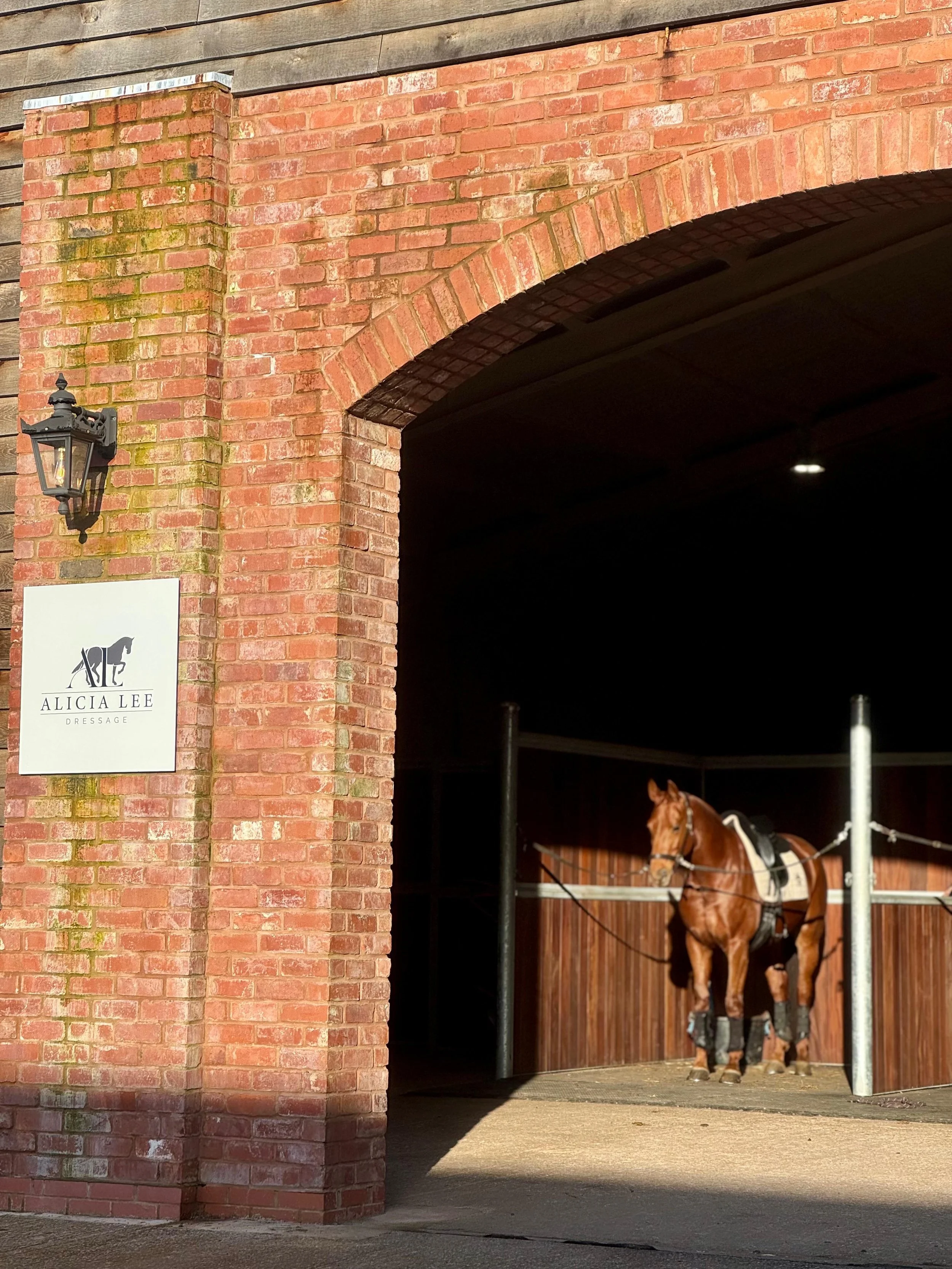 A horse inside a brick stable with an open door and a sign that reads 'Alicia Lee Dressage'.