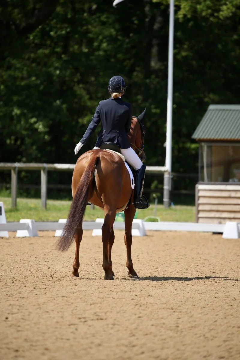A person riding a brown horse in an outdoor equestrian arena with a sandy surface, surrounded by green trees and a small wooden structure.