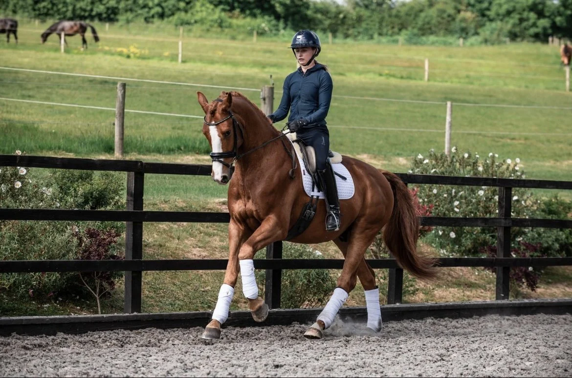A young woman riding a chestnut horse with white markings on its face, legs wrapped in white bandages, in an outdoor riding arena with a fenced grassy field and trees in the background.