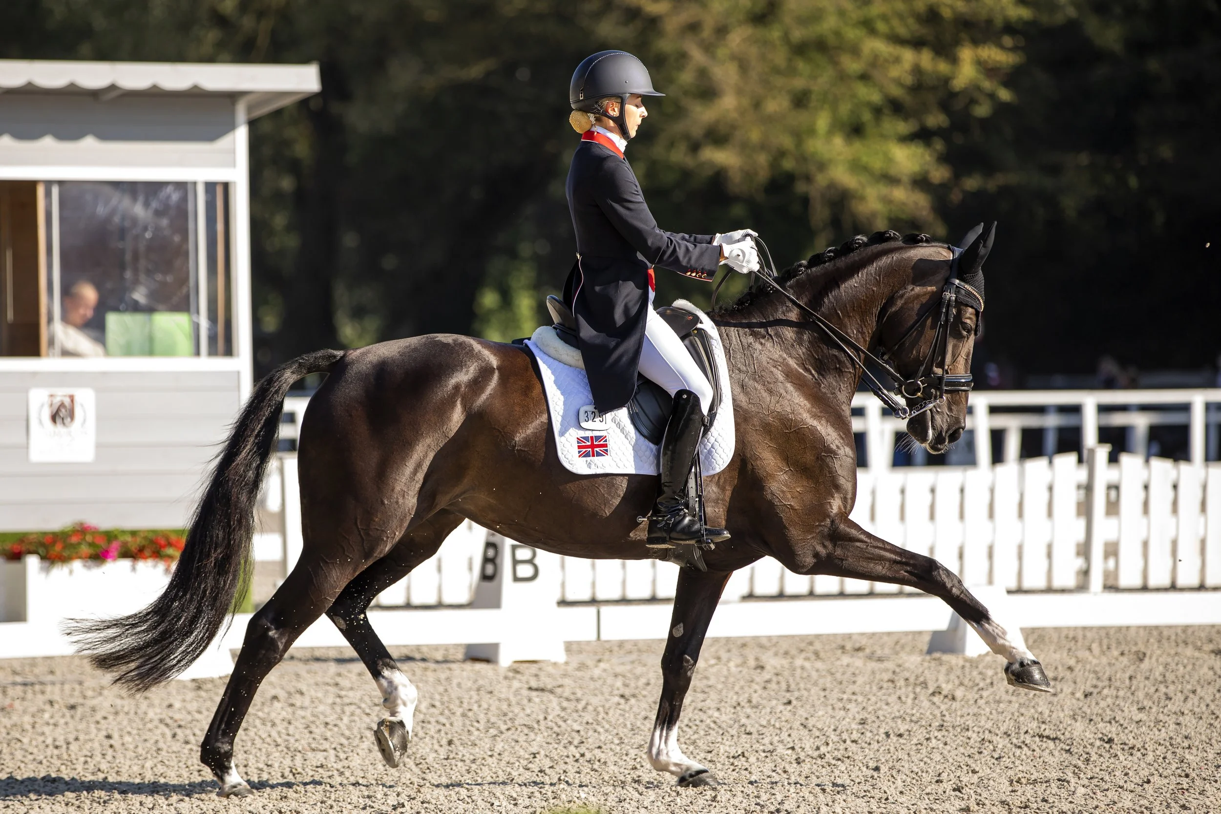 A female equestrian riding a dark brown horse during a dressage competition, wearing a black helmet, black jacket, white gloves, and white riding breeches, with a flag patch on the saddle pad.
