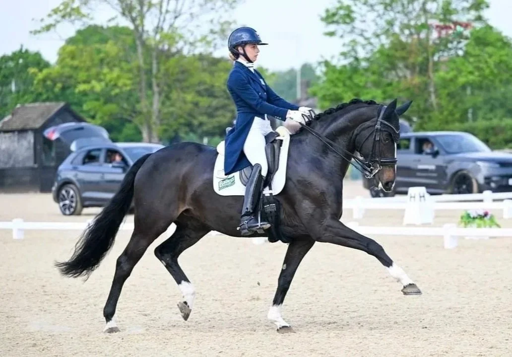 A female equestrian in a navy show coat, white breeches, and a helmet riding a dark horse on a sandy dressage arena, with cars and trees in the background.