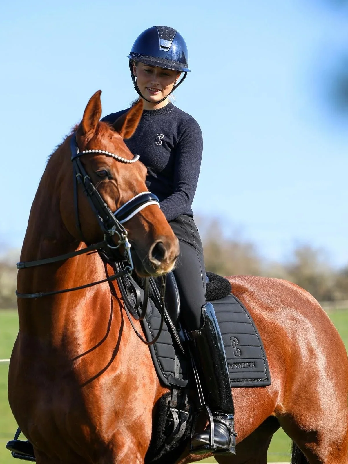 A woman wearing a black helmet and riding gear riding a chestnut horse outdoors on a sunny day.