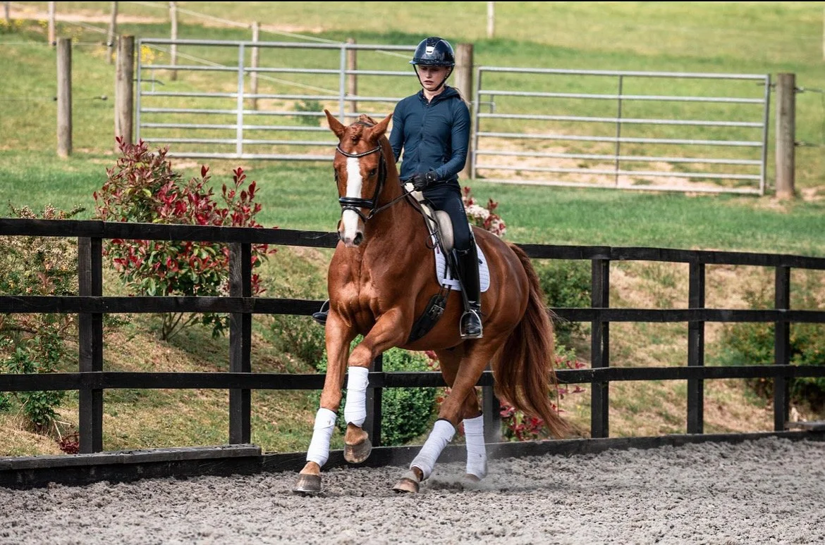 Young female rider in dark riding jacket, helmet, and gloves drapes reins over a chestnut horse with white face marking, riding in an outdoor arena with green grass and fencing.