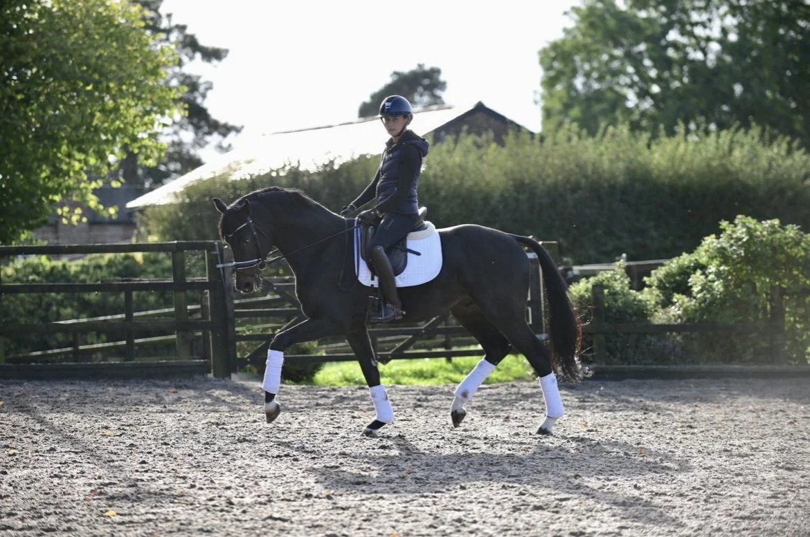 A person riding a black horse with white socks in an outdoor riding arena, surrounded by trees and a wooden fence, during daytime.