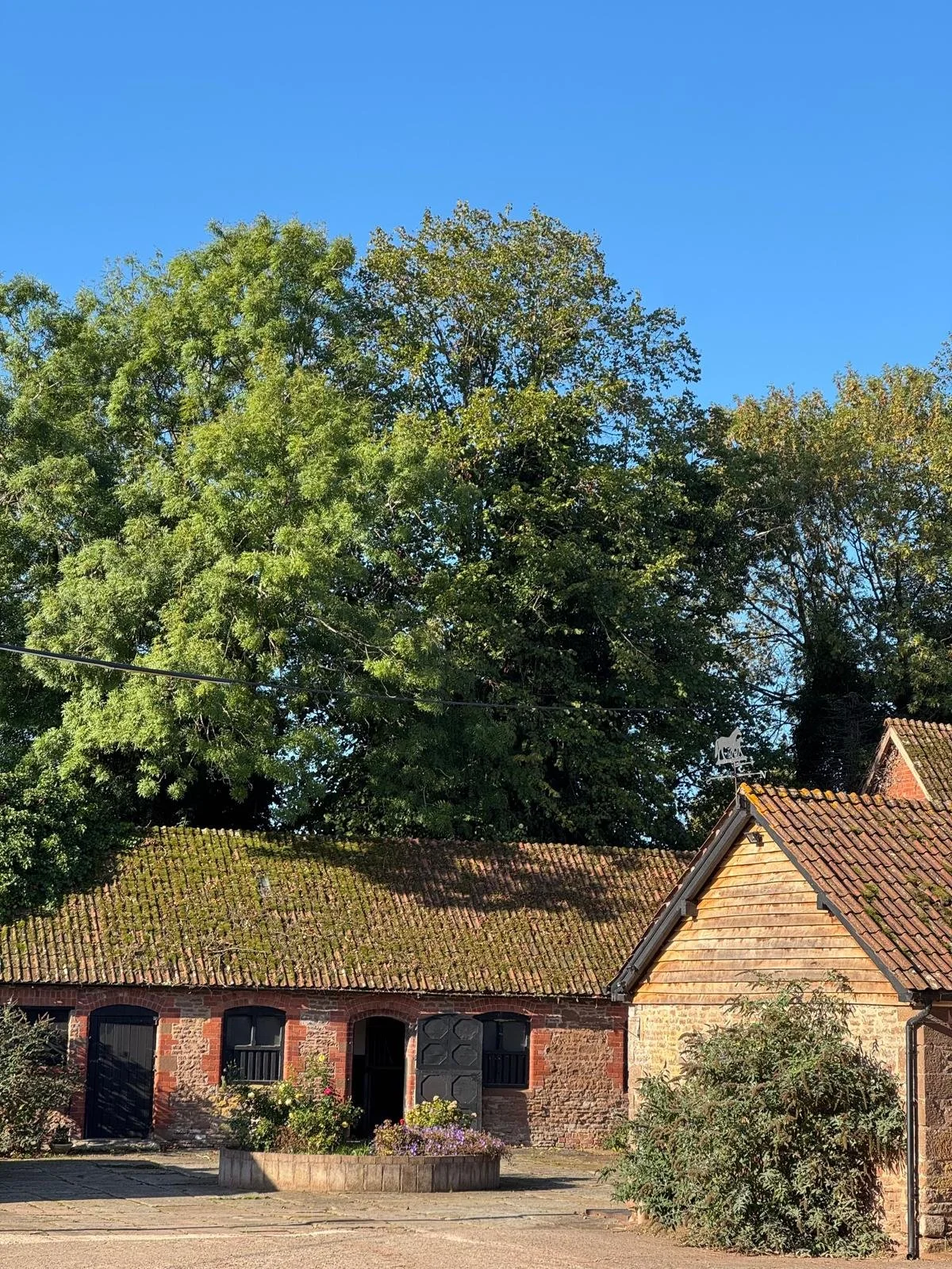 A rustic brick building with a moss-covered tiled roof, adjacent to another building with a tiled roof, under a clear blue sky and large green trees in the background.