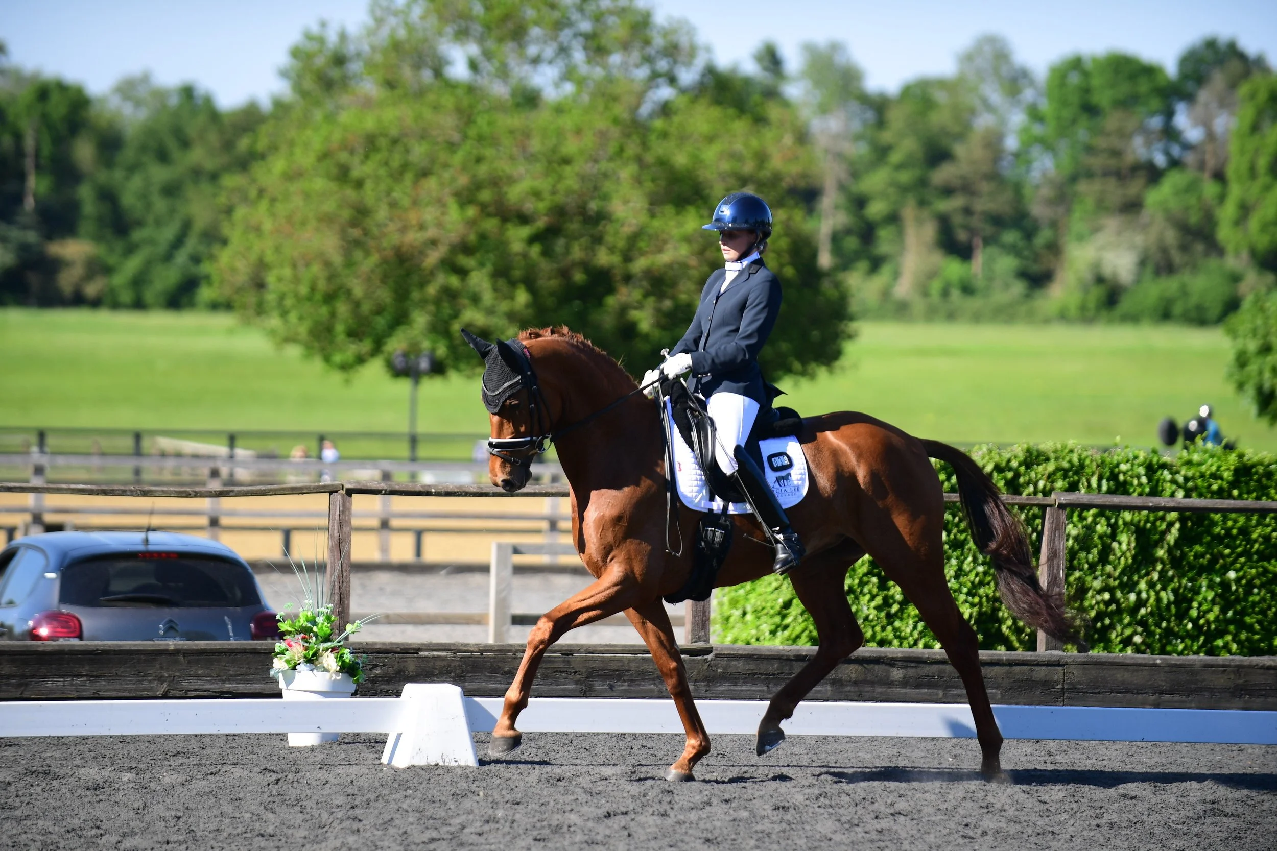 Equestrian rider in formal riding attire on brown horse during a dressage competition outdoors with green trees and blue sky in the background.