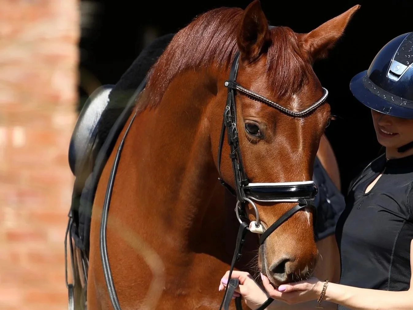 A woman in riding gear holding a brown horse's head, with a helmet on the woman and the horse wearing a bridle
