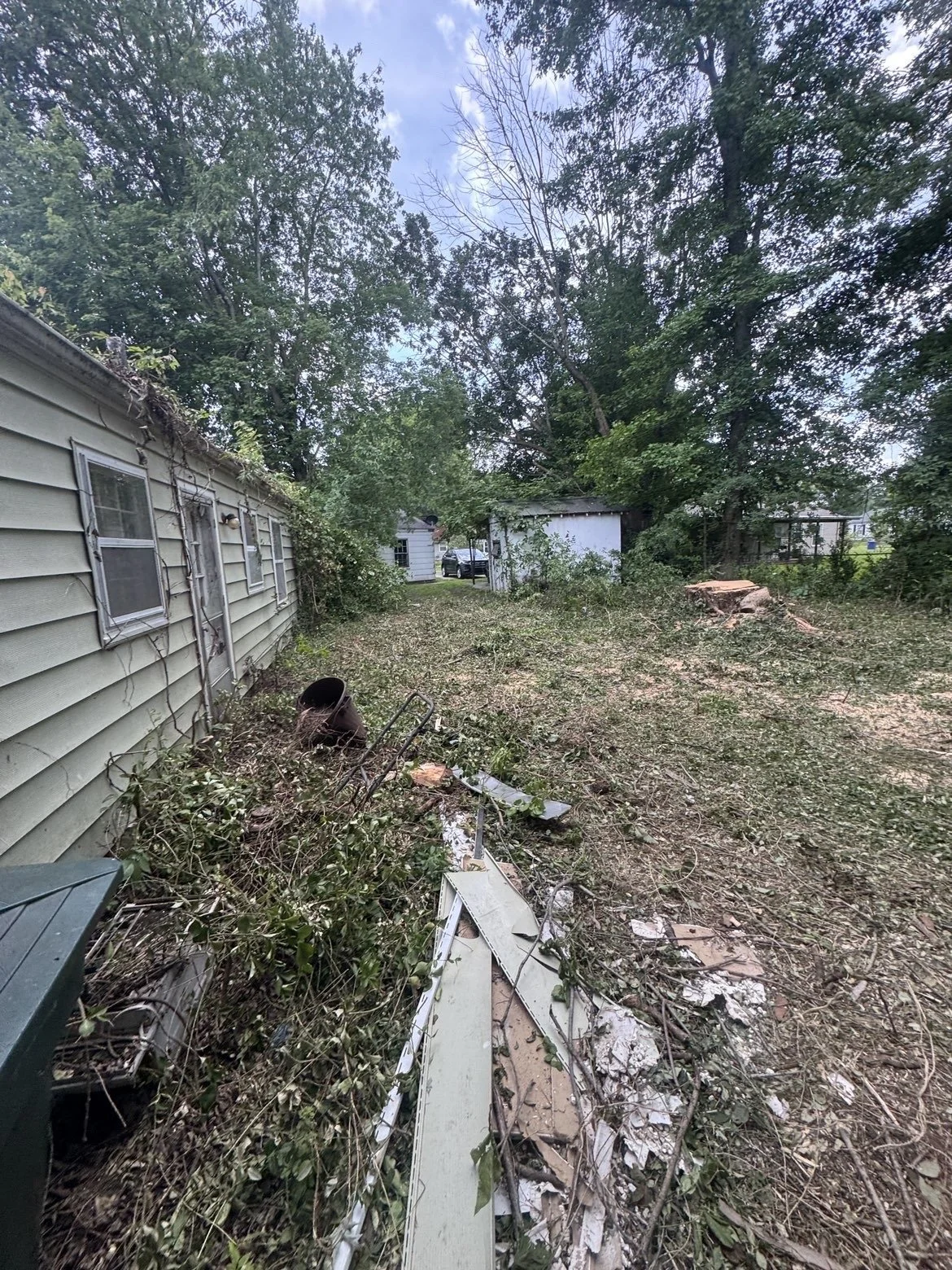yard completely cleared of massive overgrown trees and bushes