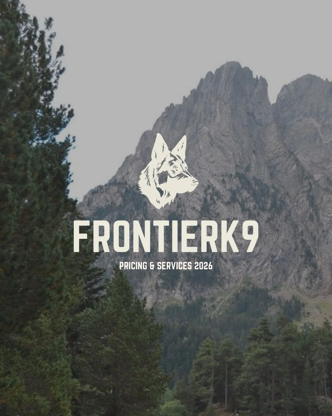 For all enquiries - DM, email or call us. We look forward to hearing from you!