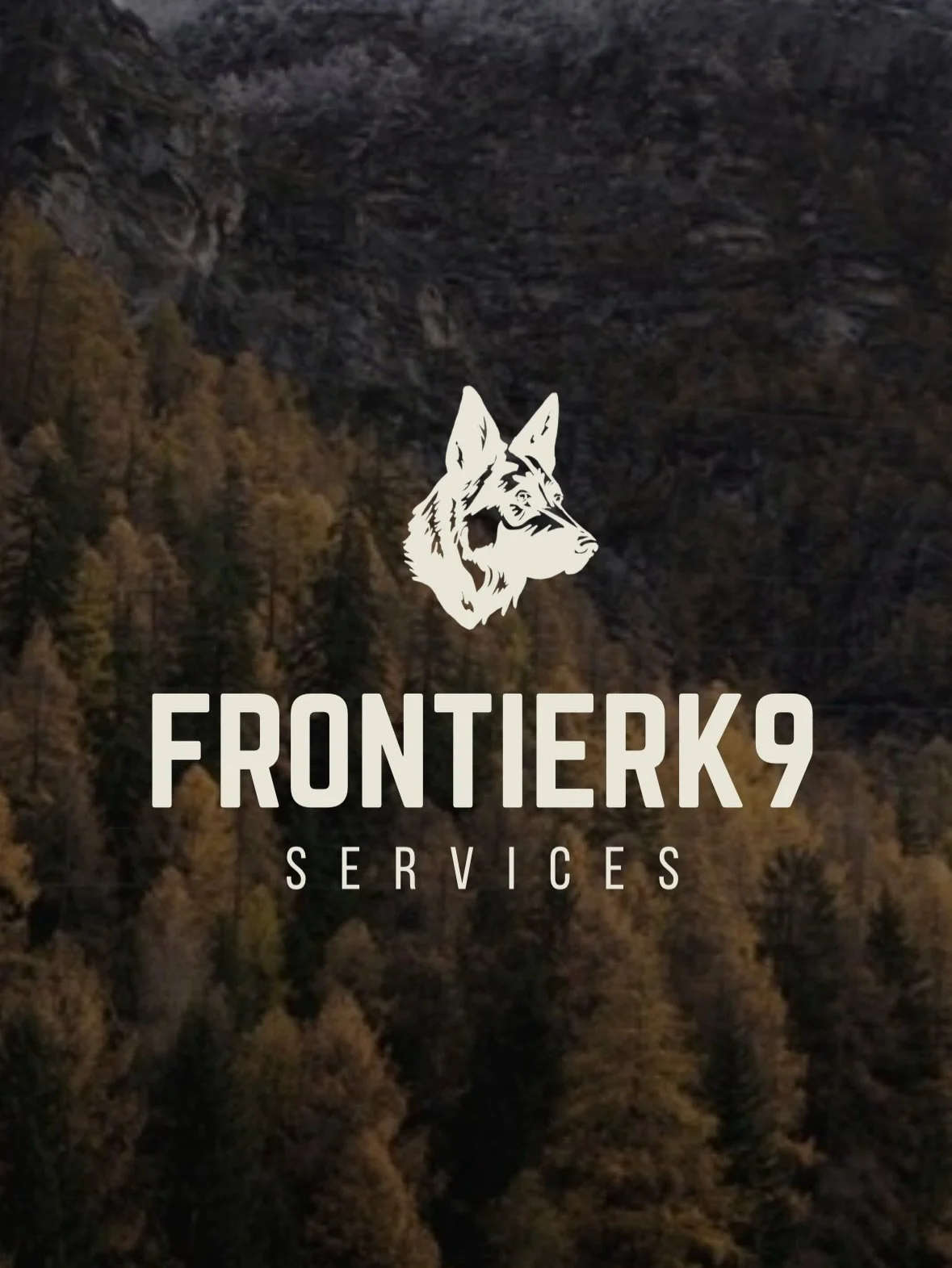 All dogs are welcome at Frontier K9 Services. We offer a full range of training options; from everyday pet dog training, to support with more complex behavioural cases, and even specialised programmes for working dogs 🐾

If you&rsquo;d like to find 