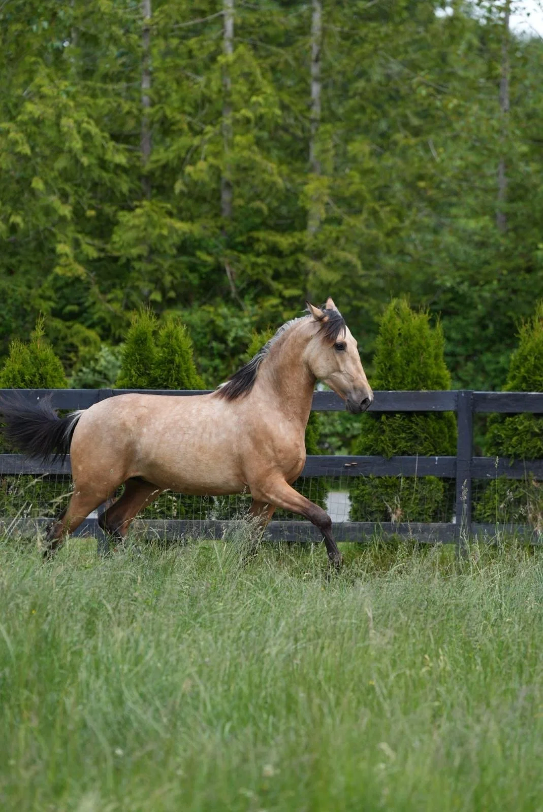 96c780bb-623b-499b-8669-ad0aa673bbd3.JPG