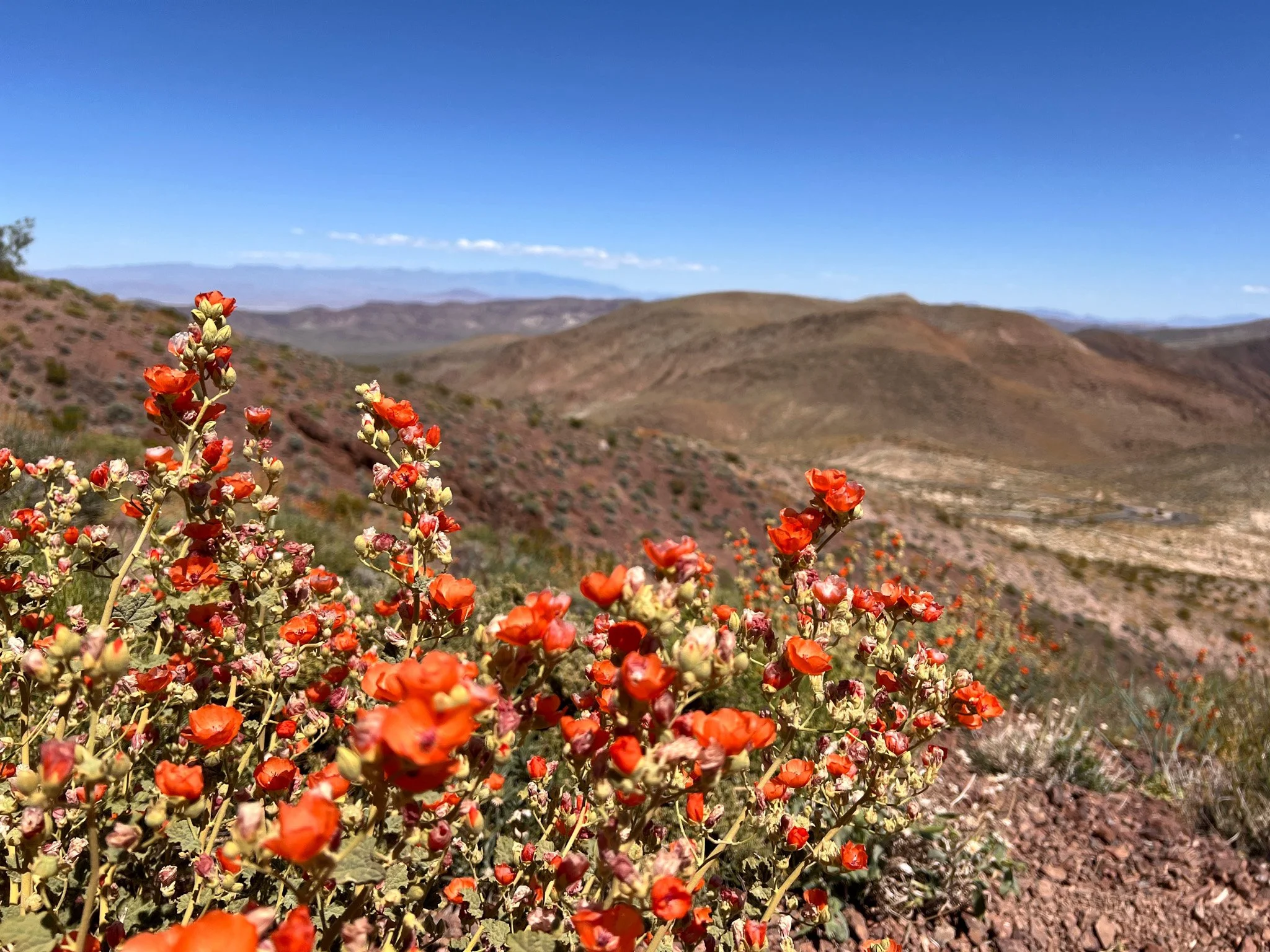 Death Valley National Park - May ‘24