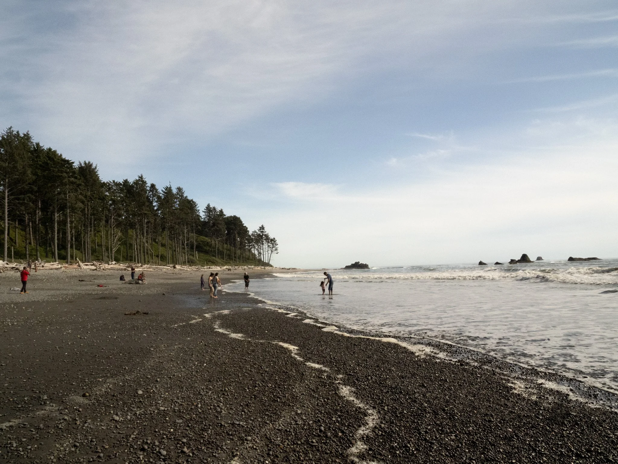 Olympic National Park - June ‘26