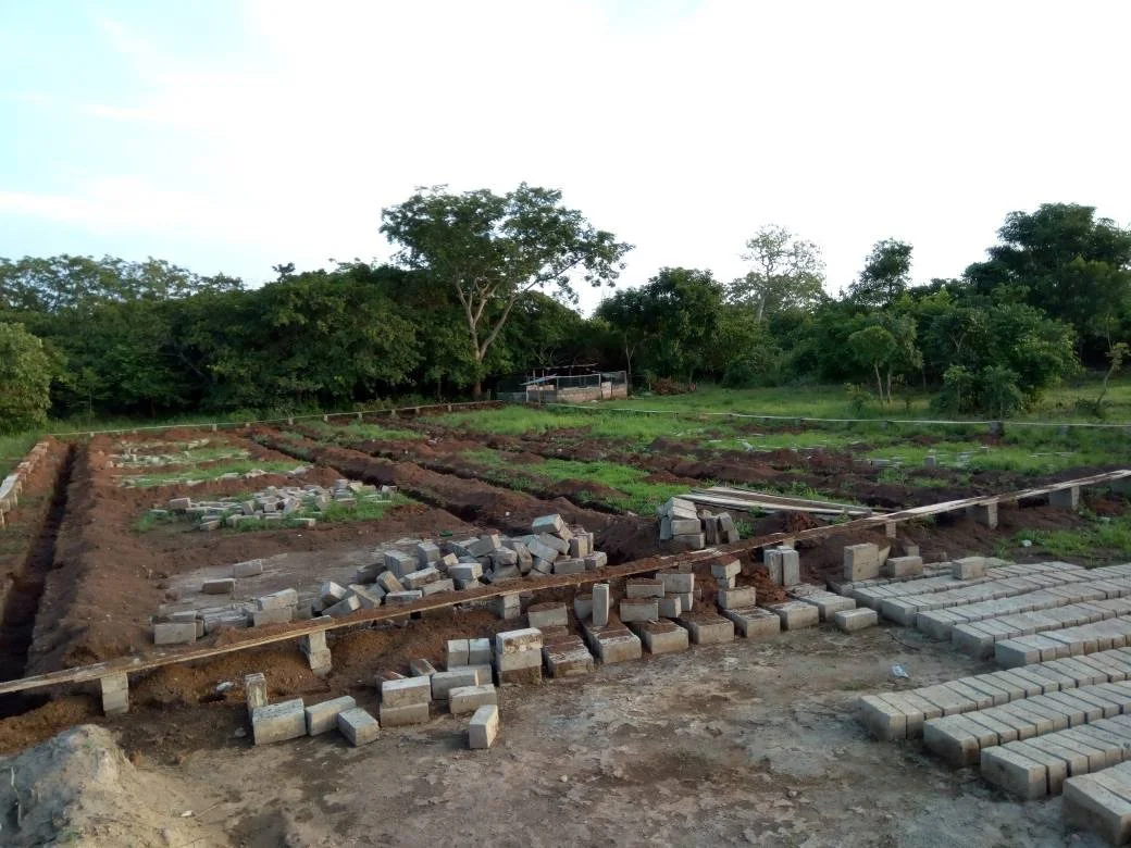Construction site with laid out foundation trenches, scattered bricks, and a partially built pathway, surrounded by trees.
