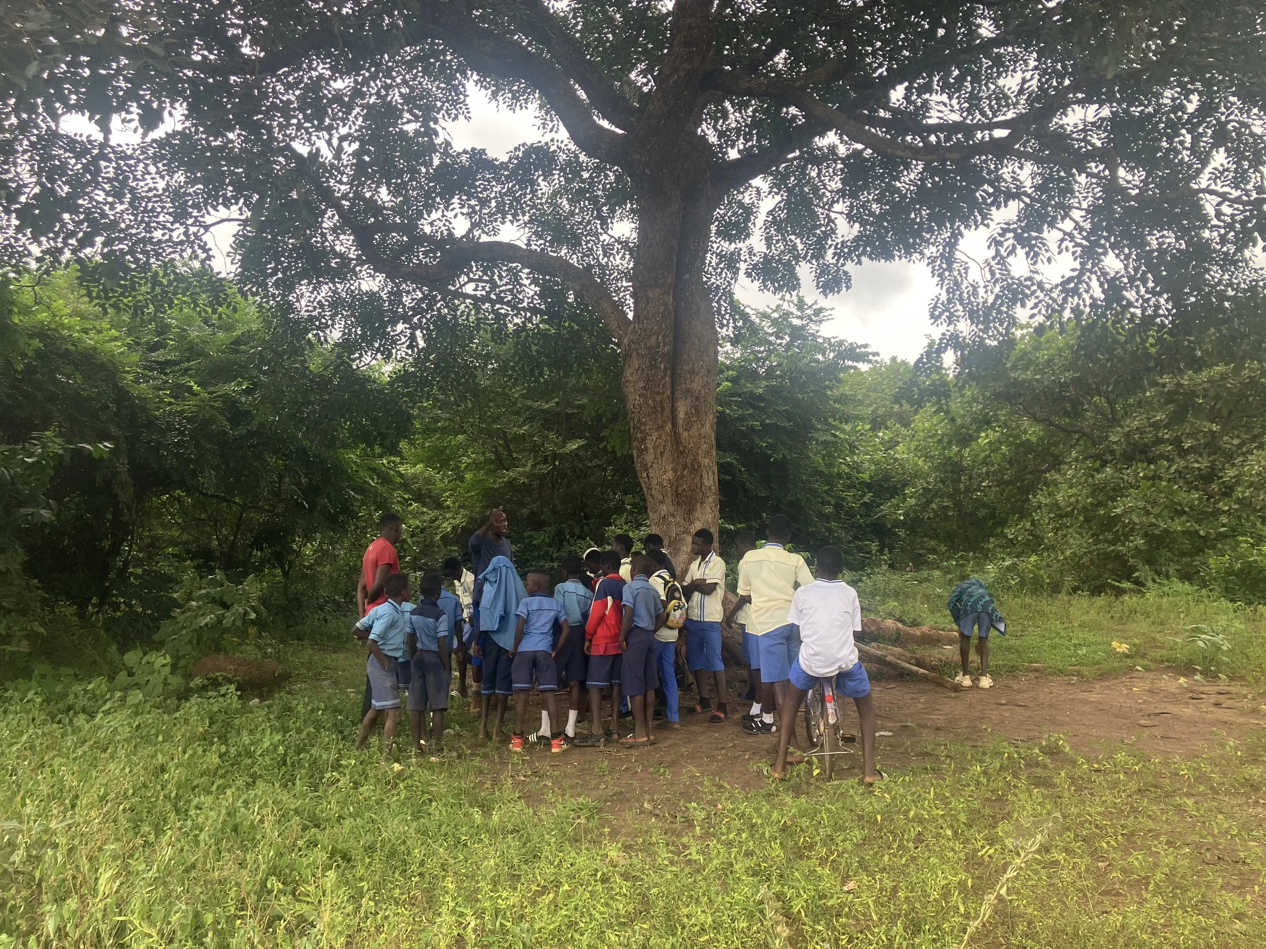 Group of school children and teachers gathered around a large tree in a green outdoor area.
