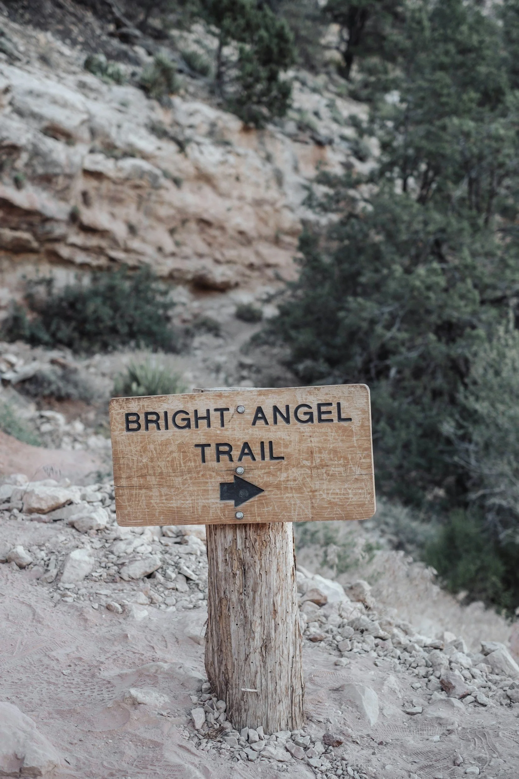 Wooden trail sign reading 'Bright Angel Trail' with a right arrow, set against a rocky outdoor landscape with trees in the background.