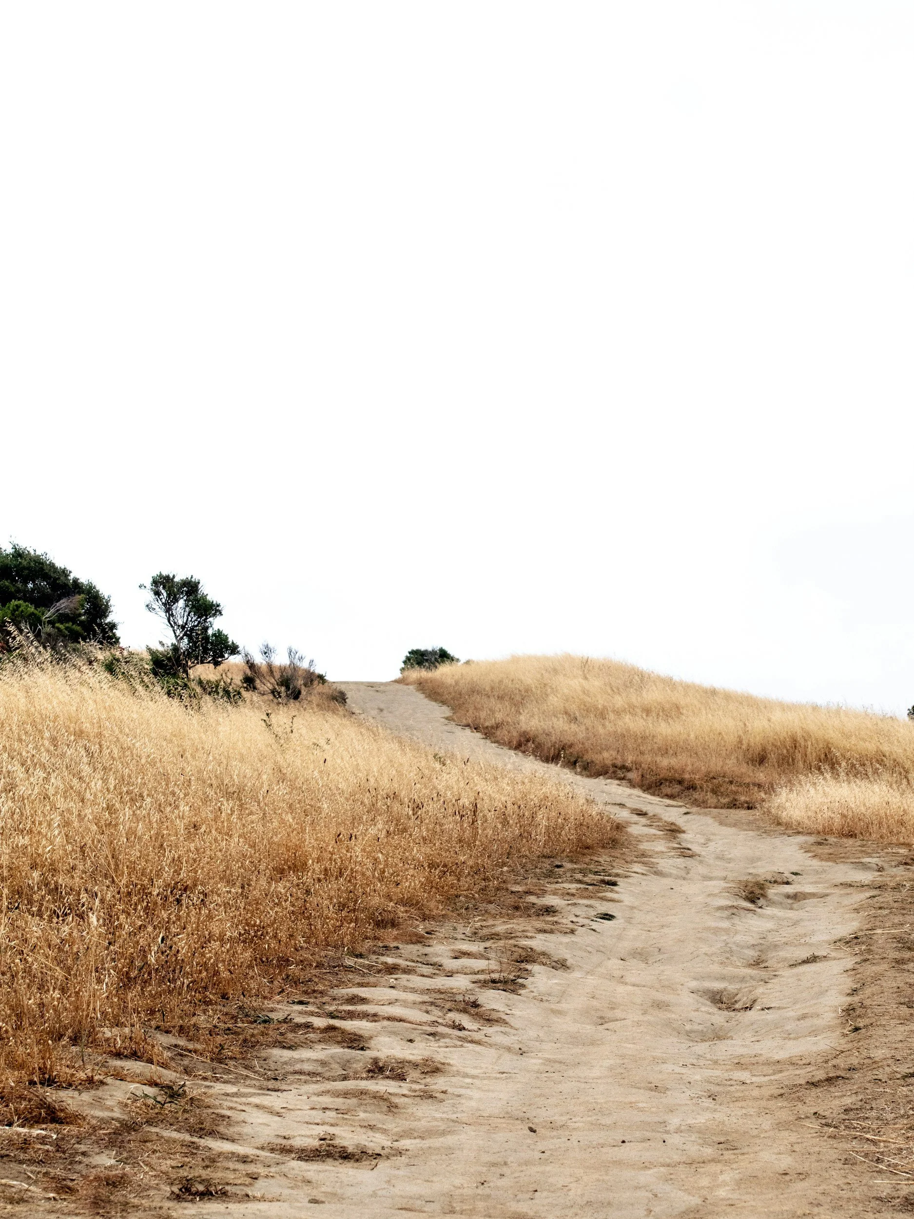 Dirt trail through dry grassy landscape with some shrubs and trees, under a mostly white overcast sky.