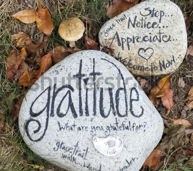 Gratitude as a Healing Tool