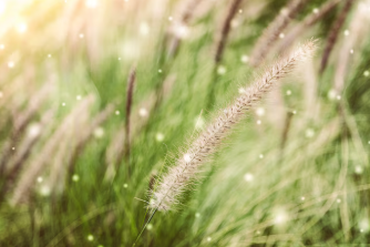 The Power of Gentle Beginnings