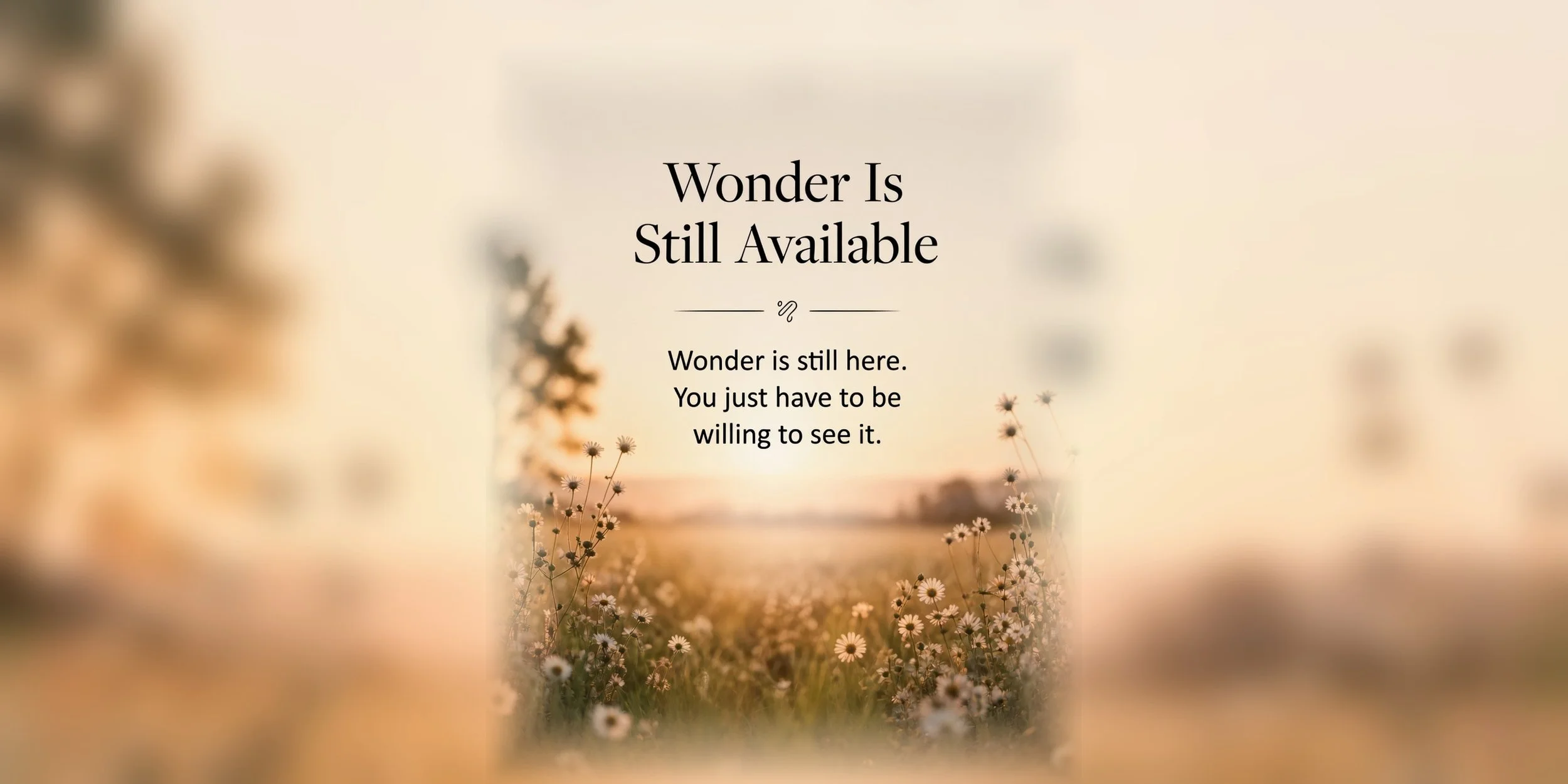 Wonder Is Still Available