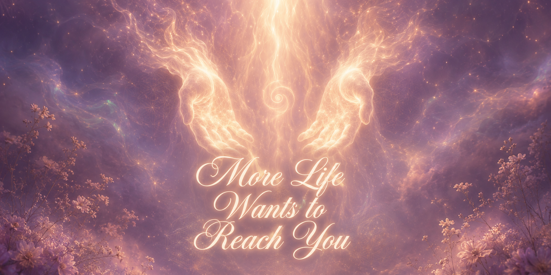 More Life Wants to Reach You